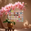 Phalaenopsis potted green plants, indoor living room and office ornamental flowers, fresh-cut flowers, evergreen throughout the four seasons Specification image